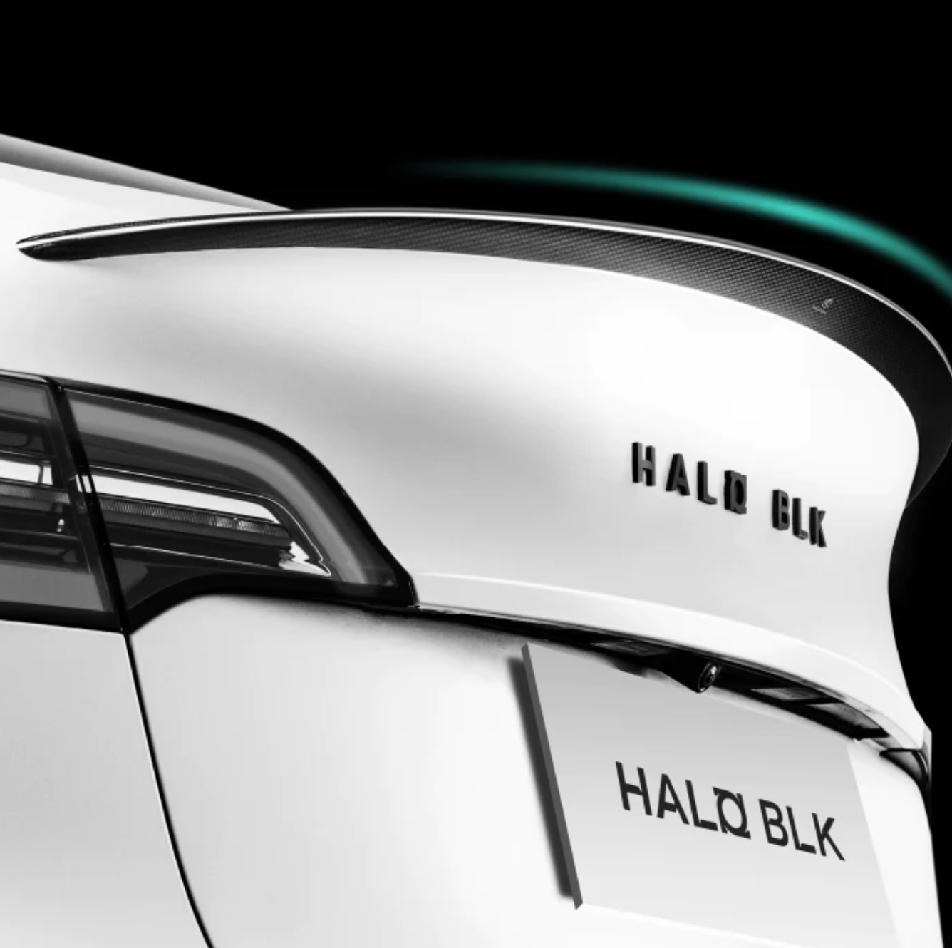 HALOBLK カーボンファイバースポイラー